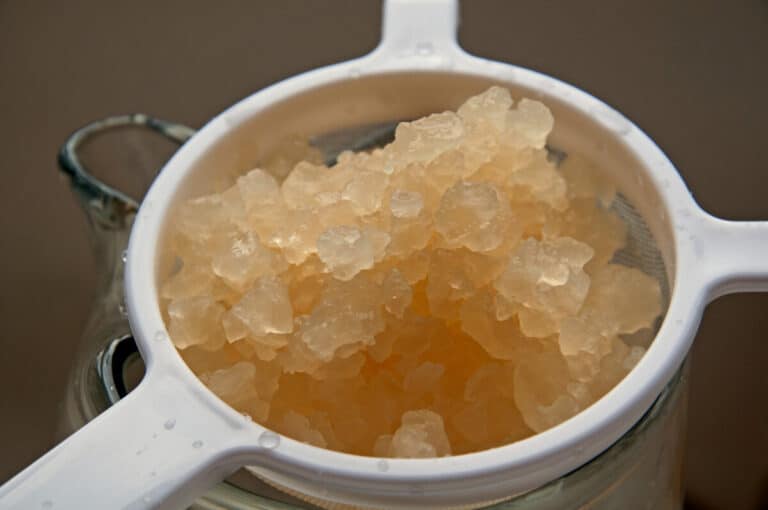 Water Kefir Grains: What Are They Made of?