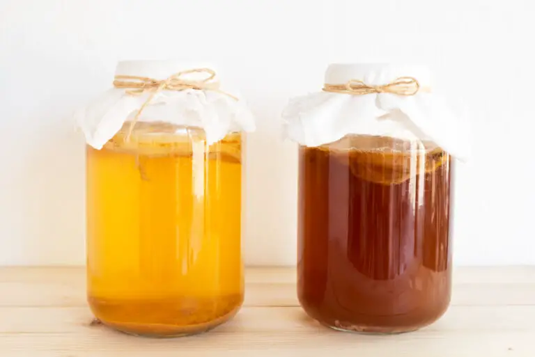 What to Use to Cover Your Kombucha Jar. Everything You Need To Know!