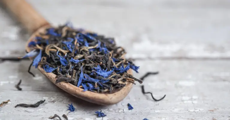 Can You Use Earl Grey Tea For Kombucha? The Final Answer!