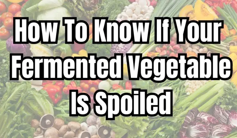 Easy Step-By-Step Guide To Know If Your Fermented Vegetable Is Bad